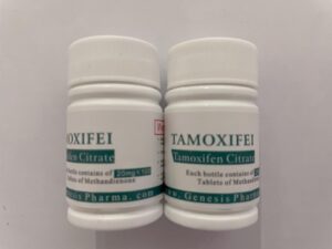 Tamoxifen 20mg  x 100 pills